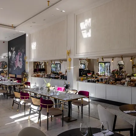 Zet Тімішоара